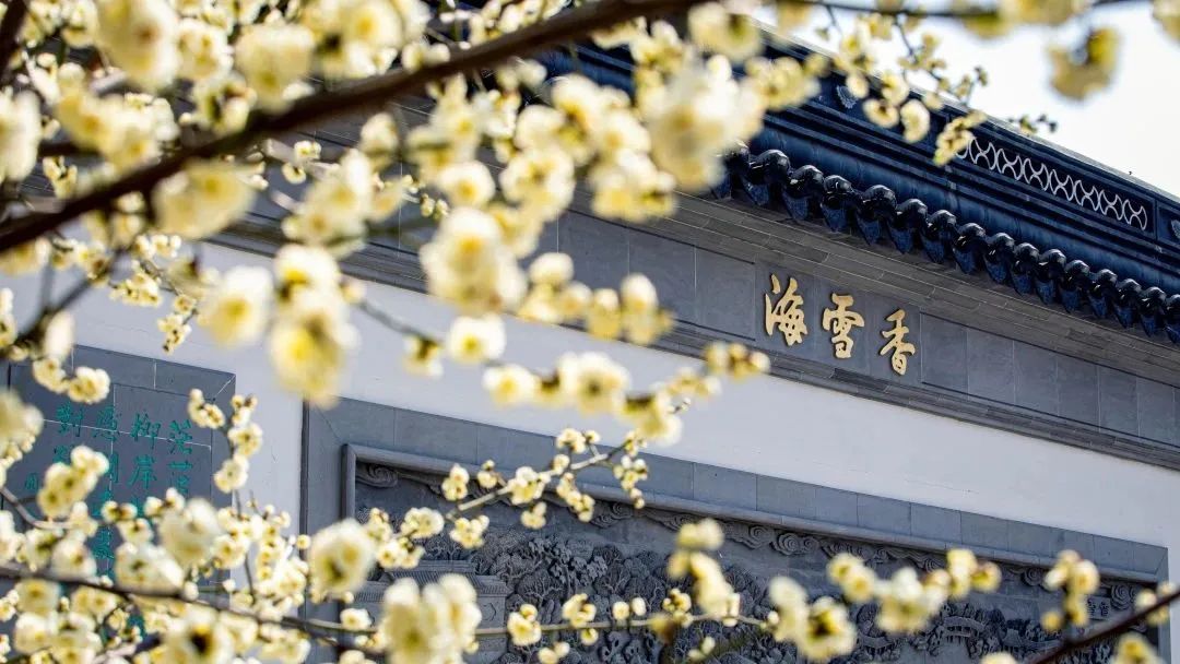 图源:南京大学官方公众号 图源:南京大学官方公众号