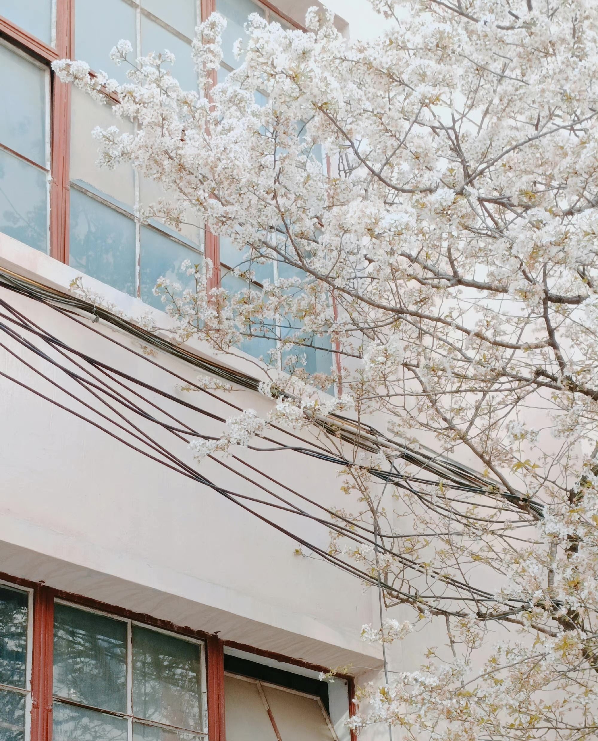 图源:网友@一思也 图源:网友@一思也